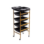 AYUDANTE DE PELUQUERÍA S1 PRO DORADO