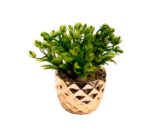 Flor Artificial Cerámica M4 13x7cm (Unidad)) - Imagen 3