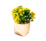 Flor Artificial Cerámica M4 13x7cm (Unidad)) - Imagen 2