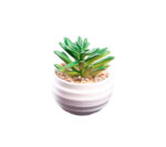 Flor Artificial Plástico M3 6x9cm (Unidad) - Imagen 7