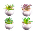 Flor Artificial Plástico M3 6x9cm (Unidad)