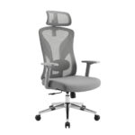 SILLA PRESIDENCIAL AUDI